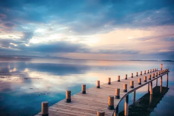 为什么要有法律的依据呢