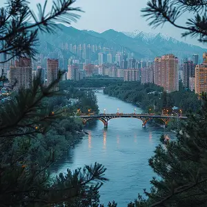 市政建设属于什么法律