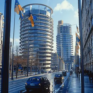 我国所有法律以什么为纲