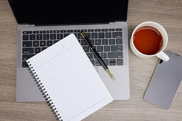 交警处罚时依据什么法律